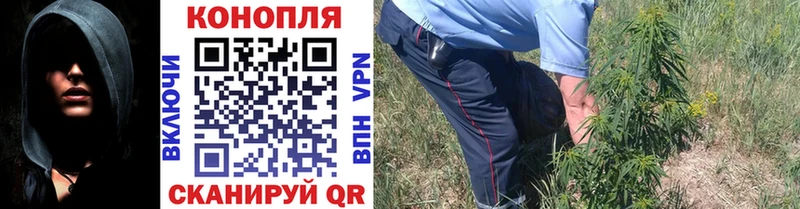 Каннабис гибрид  Заозёрный 